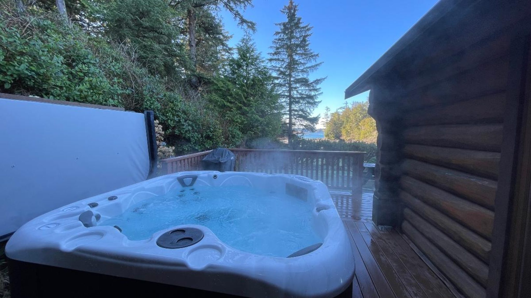 Cabin 12 Hot tub view