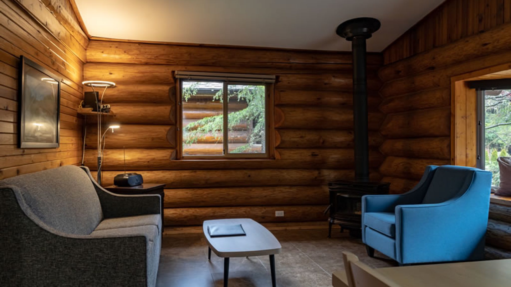 cabin19-living