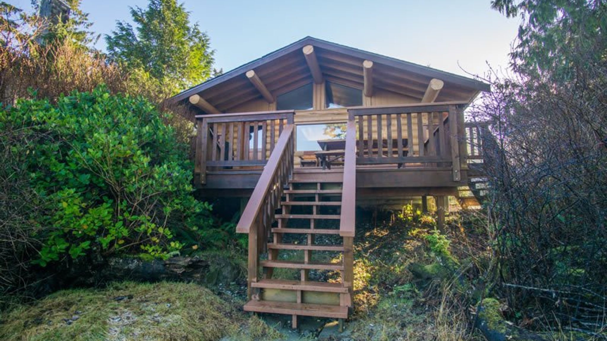 cabin2