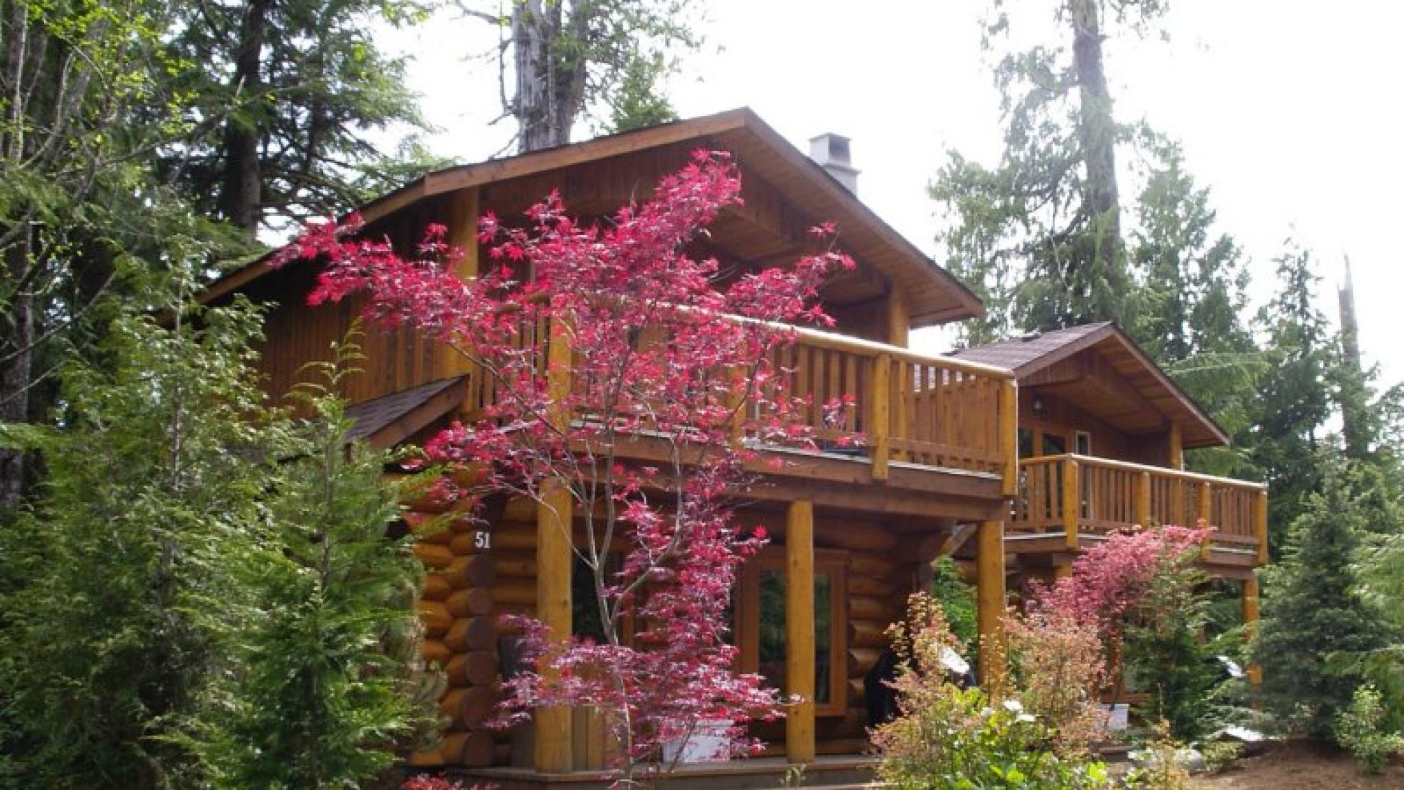 cabin51