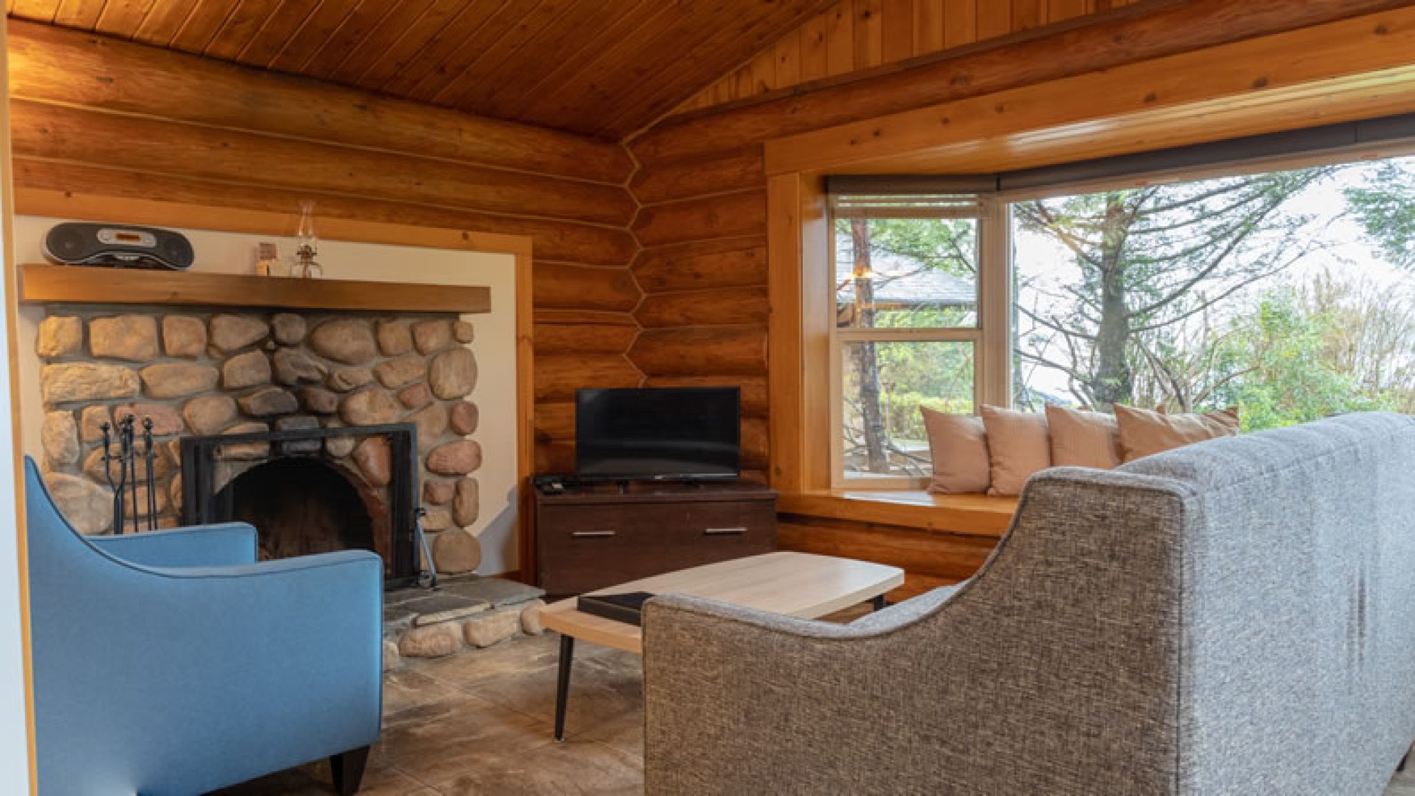 cabin6-living_0