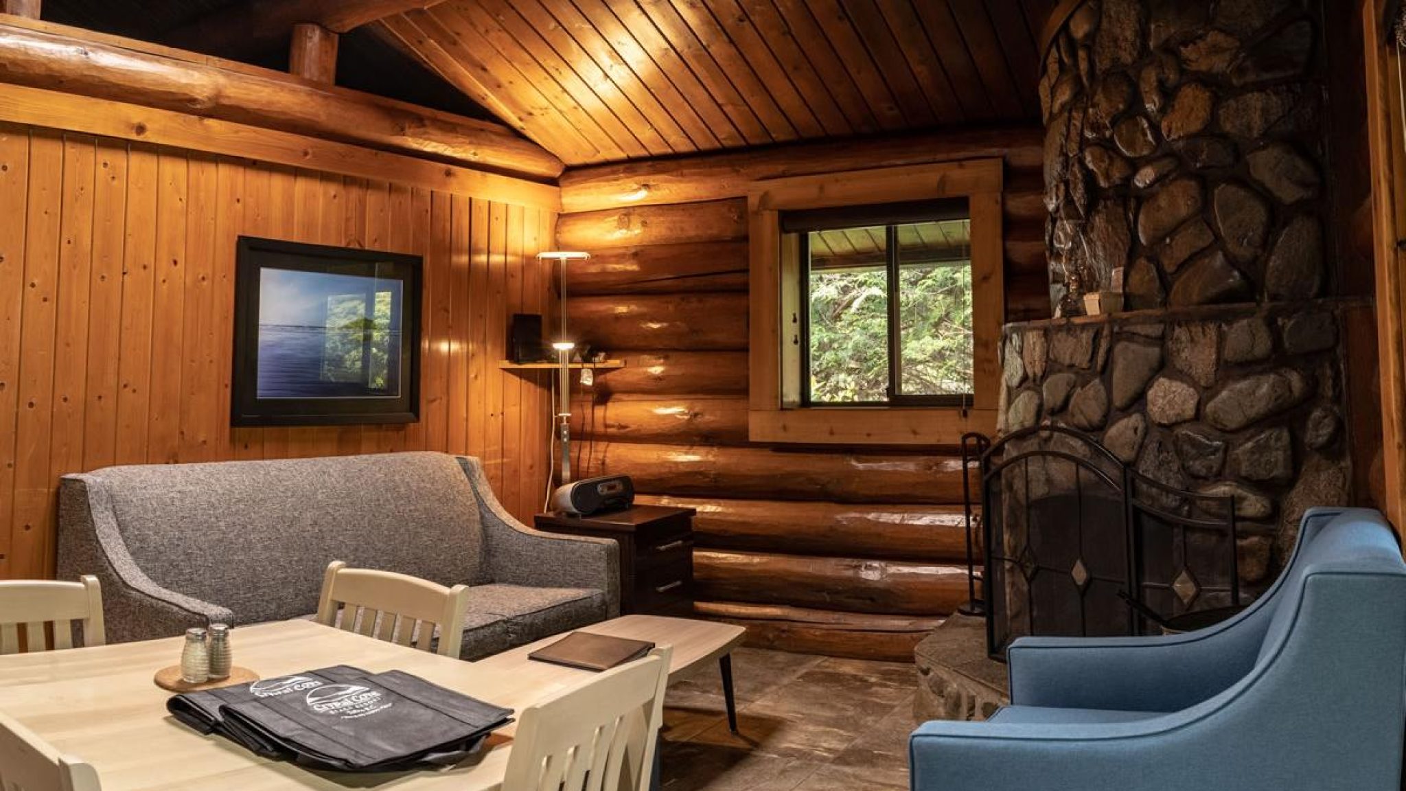 cabin9-living