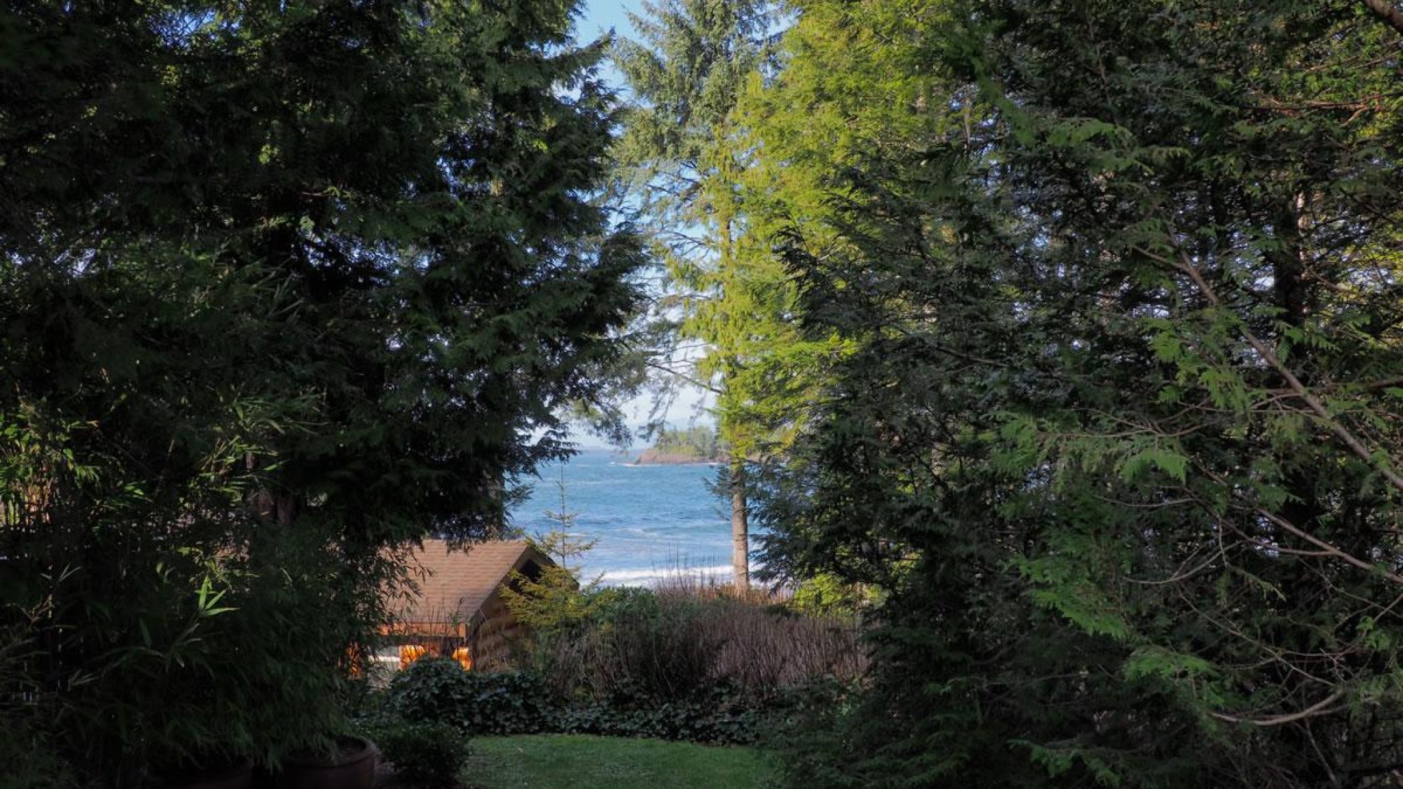 cabin9-view