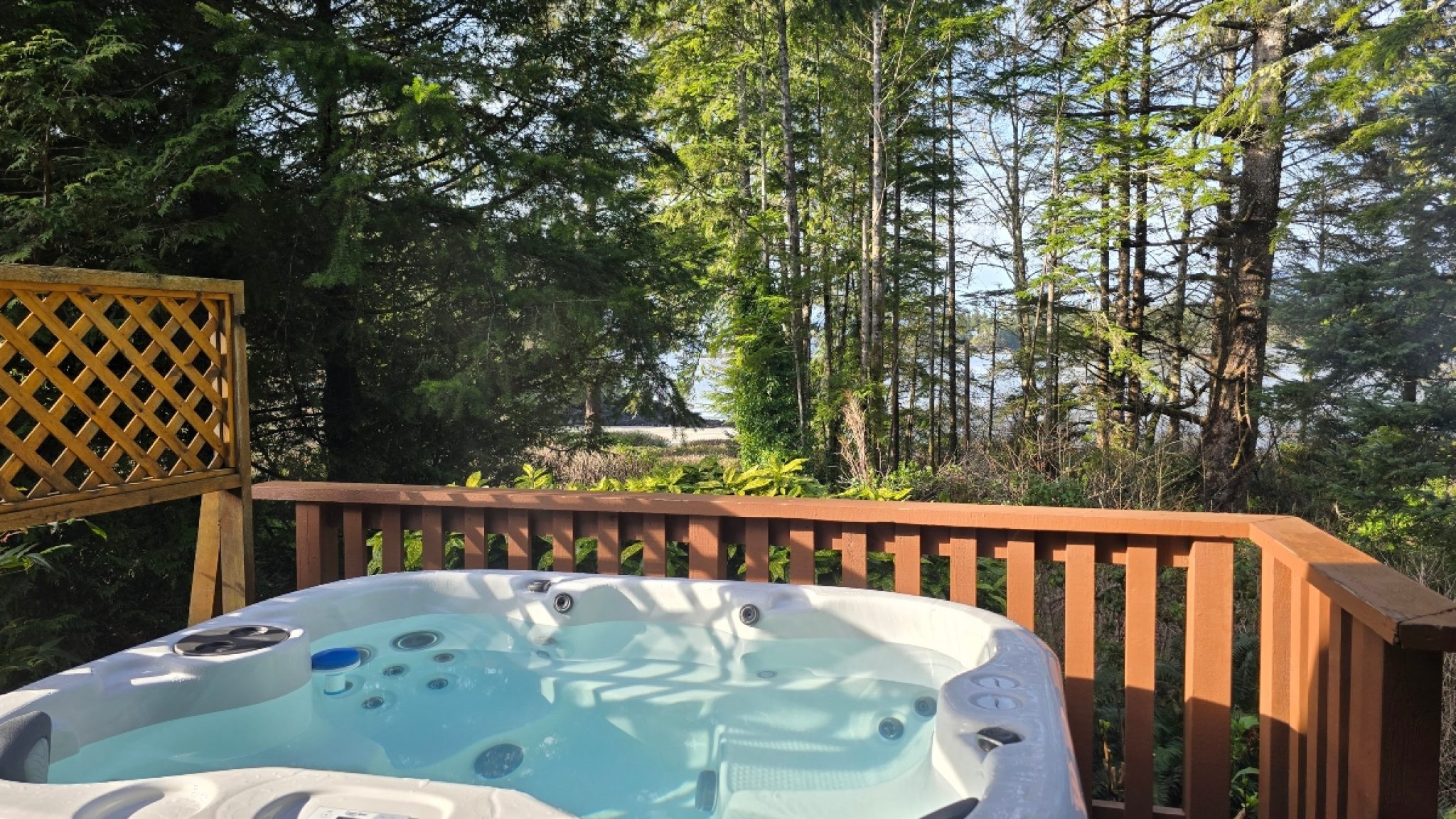 Hot tub resized