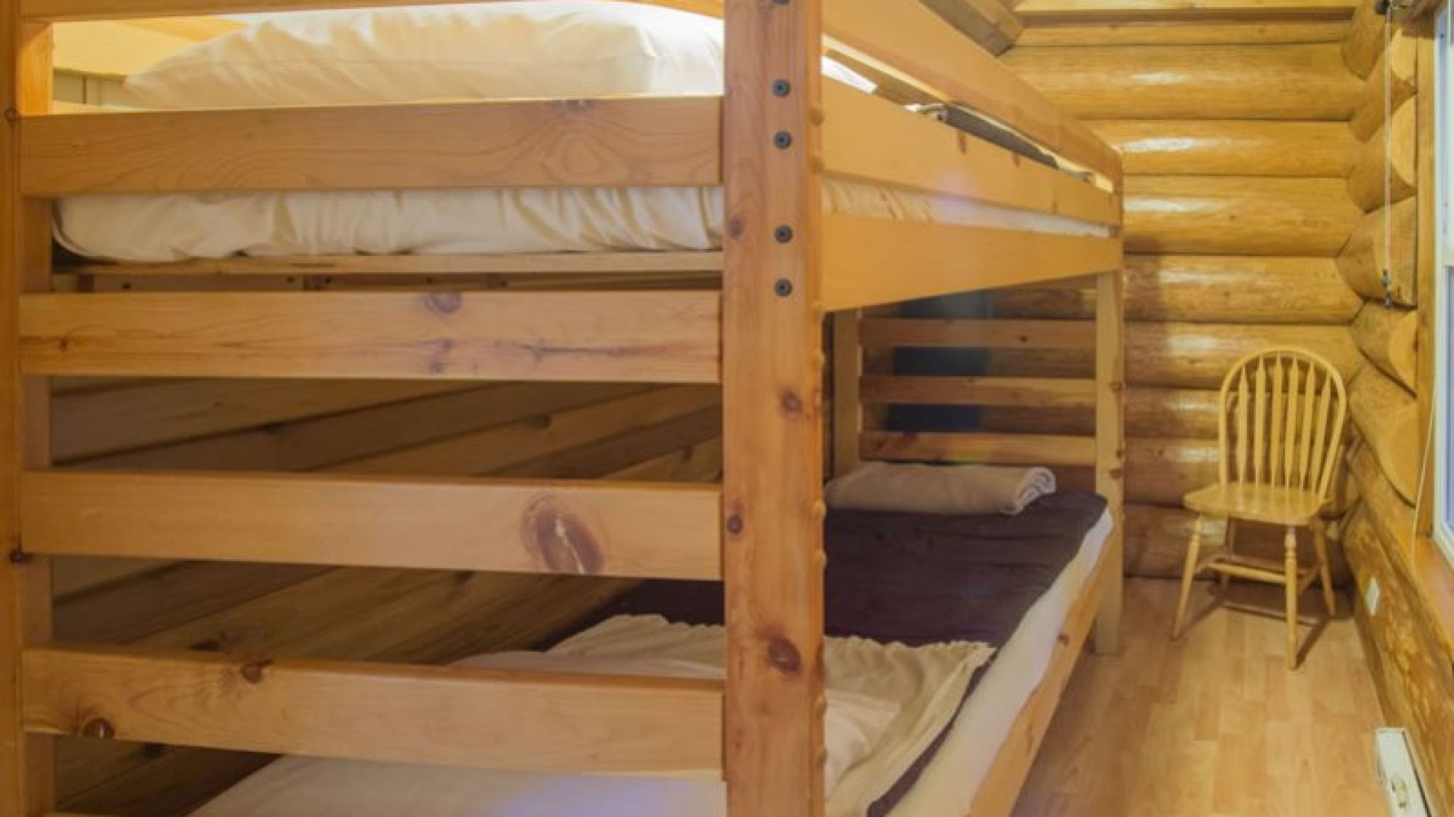 rainforest-bunks
